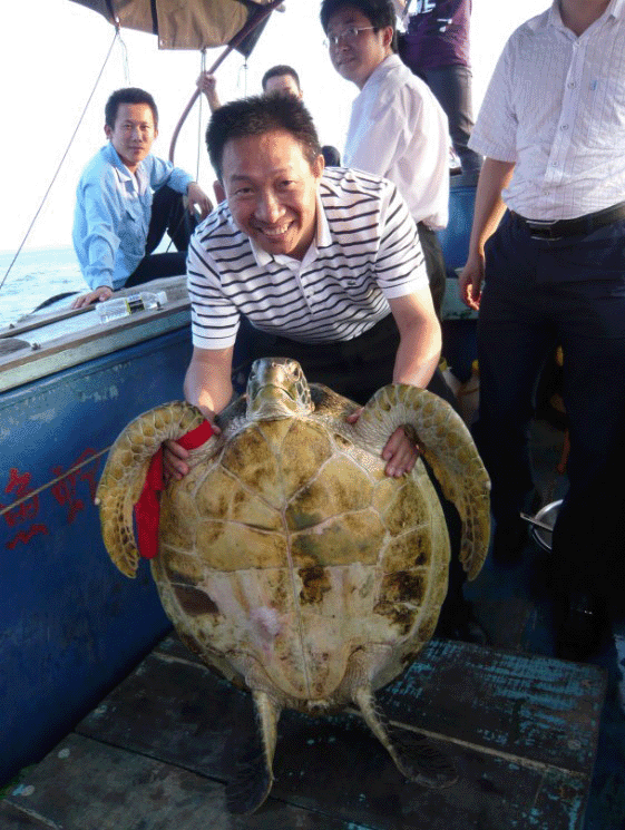 2009年放生海龟活动